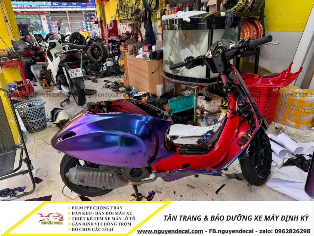 T&acirc;n trang v&agrave; bảo dưỡng xe định k&igrave;