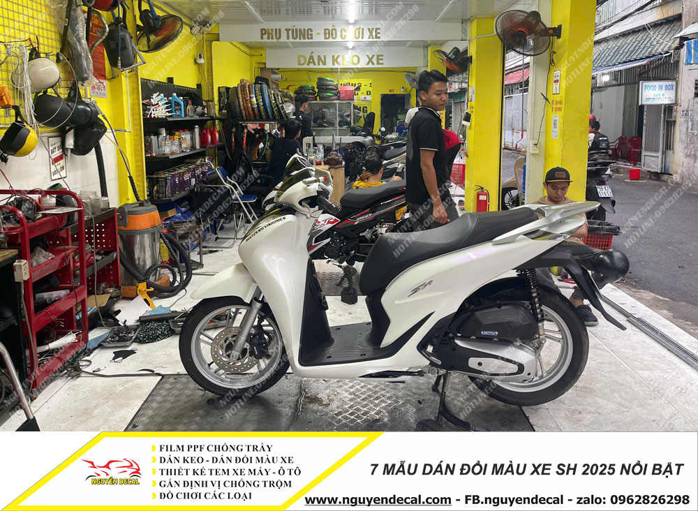 7 mẫu dán đổi màu xe Sh 2025 7 mẫu dán đổi màu xe Sh 2025