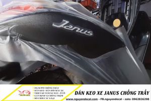 Dán keo xe Janus chống trầy, Địa chỉ dán decal xe Janus Đẹp - Rẻ