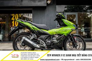 Top 16 mẫu thiết kế tem winner x v2 hot nhất 2022