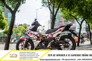 Top 15+ mẫu tem winner x v3 đẹp nhất hiện nay